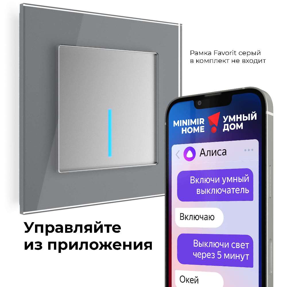 Выключатель одноклавишный встраиваемый сенсорный Werkel с Wifi Cеребряный W4510606 — изображение 2