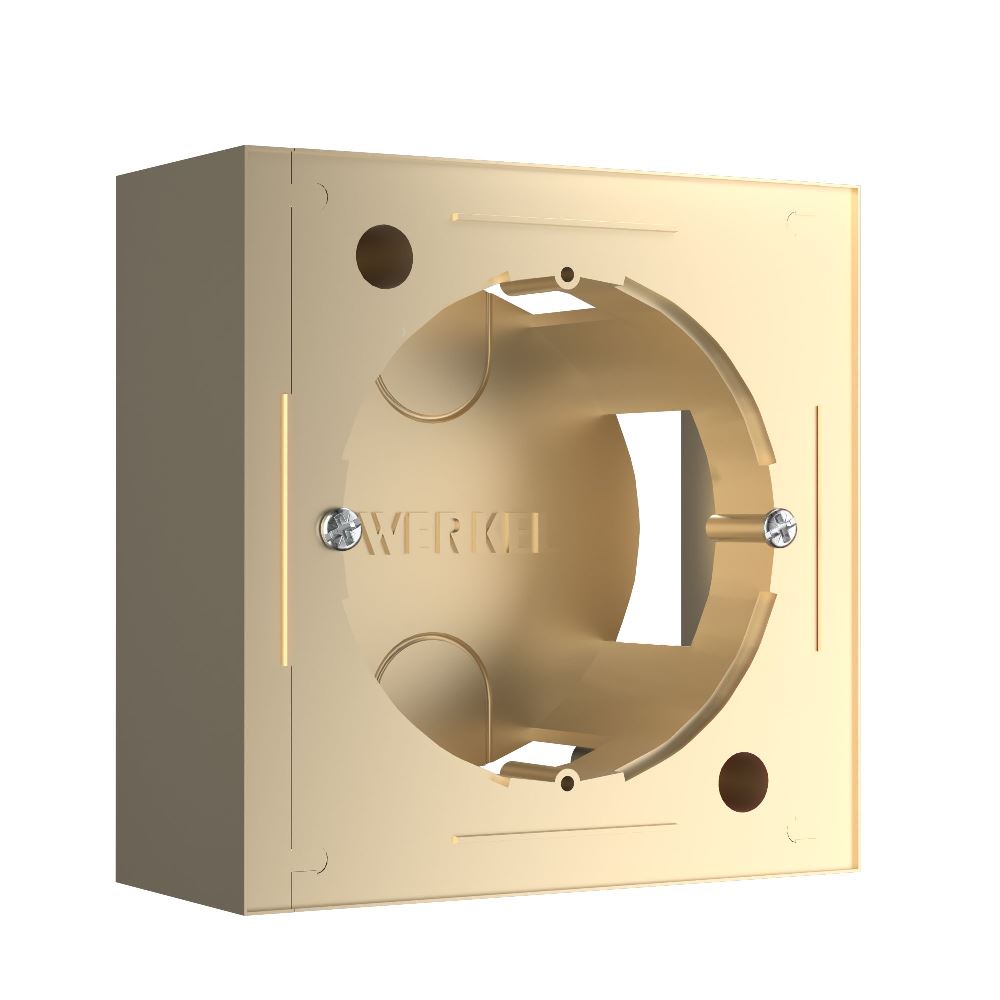 Коробка для накладного монтажа Werkel Шампань W8000011